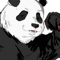 panda