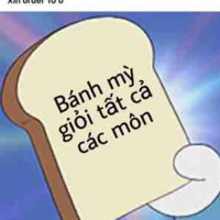 Cả lớp