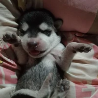 TÁC GIẢ 🤔 cuto 