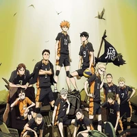 Đội bóng chuyền Karasuno