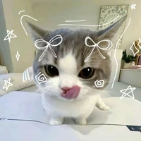 MewMelo🌠