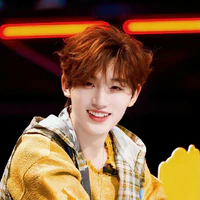 Đinh Trình Hâm