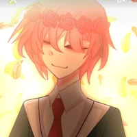 TT hiha