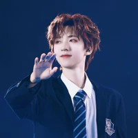 Hạ Tuấn Lâm