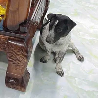 tg dễ hương vãi kặc