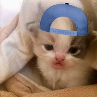 ˚₊‧ ୨nw_dueyn୧ ‧₊˚