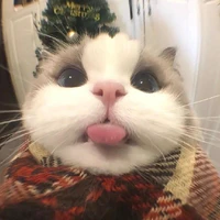 T/g <3