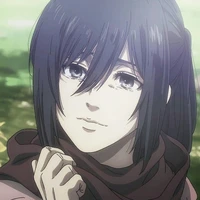 Mikasa ackerman