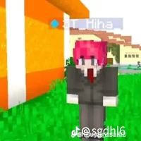 TT hiha