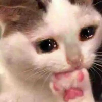 lulii