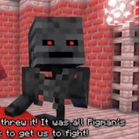 Wither Skeleton/ ma xương đen