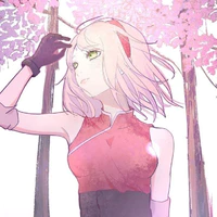 sakura