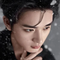 Đinh Trình Hâm (Dark)