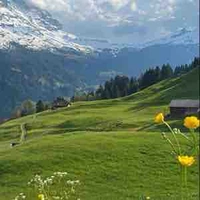 Nhóm anh ( trừ ai cần trừ )