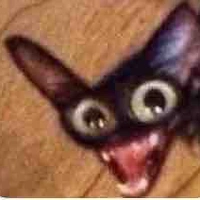 trà đào trà vải bí đao[🍵]