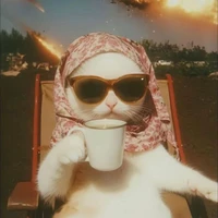 Hệ thống khó chịu:)