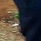 「All có mặt 」