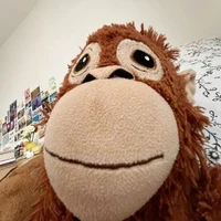 con khỉ 🐒