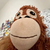 con khỉ 🐒