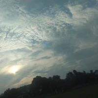 tất cả gia nô trong nhà