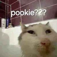 Idk