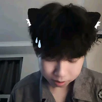 Hữu Đạt_Phoenix