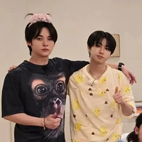 노노