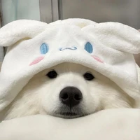 Tên gì không nhớ nữa:)