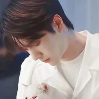 vương điềm điềm anh trai