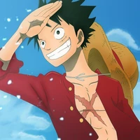 Monkey D Luffy  ( nguyên chủ )