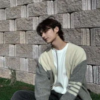 Wen Junhui (Huy)