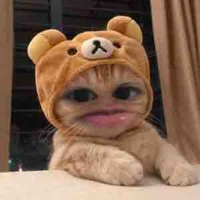 Tác giả mê anh H