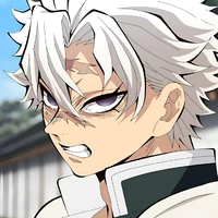 Shinazugawa Sanemi