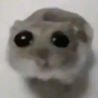 con mắm thối[hệ thống trợ lý]🐭