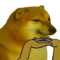 nhỏ tg