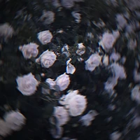 Tác giả thik lật 😔