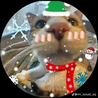 Cá 😼