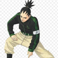 Nara Shikadai