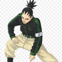 Nara Shikadai