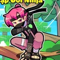 hiha ninja