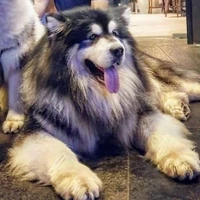 hệ thống - gosry