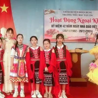thảo