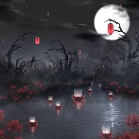 bảo