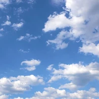 ? (trừ gì thì trừ)