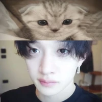 tgia đin