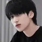 Nghiêm Hạo Tường/anh