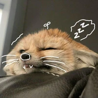 nhỏ này bị lười