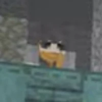 hiha???1