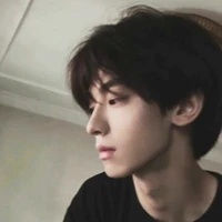 Lý Hoả Nam