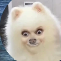 cân mọi nhân vật